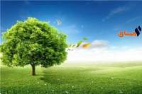 طقس اليوم الاثنين 2 جويلية 2018