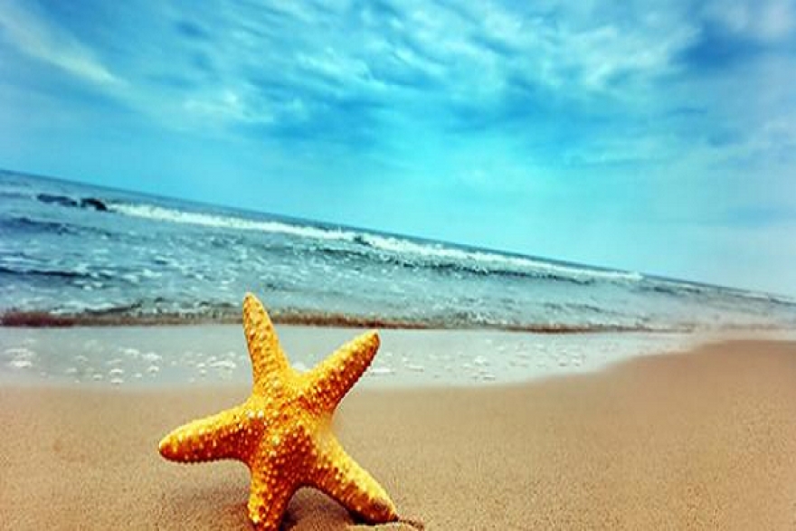 طقس اليوم الاثنين 6 أوت 2018&nbsp;