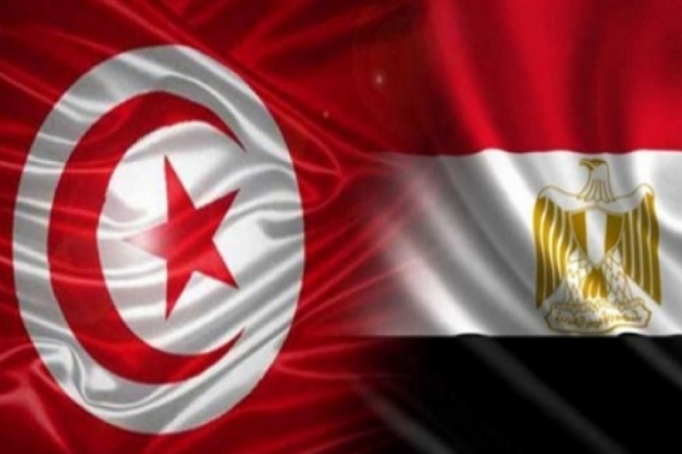 تناولت بالنقاش الوضع الليبي:بين وزيري الخارجية التونسي والمصري