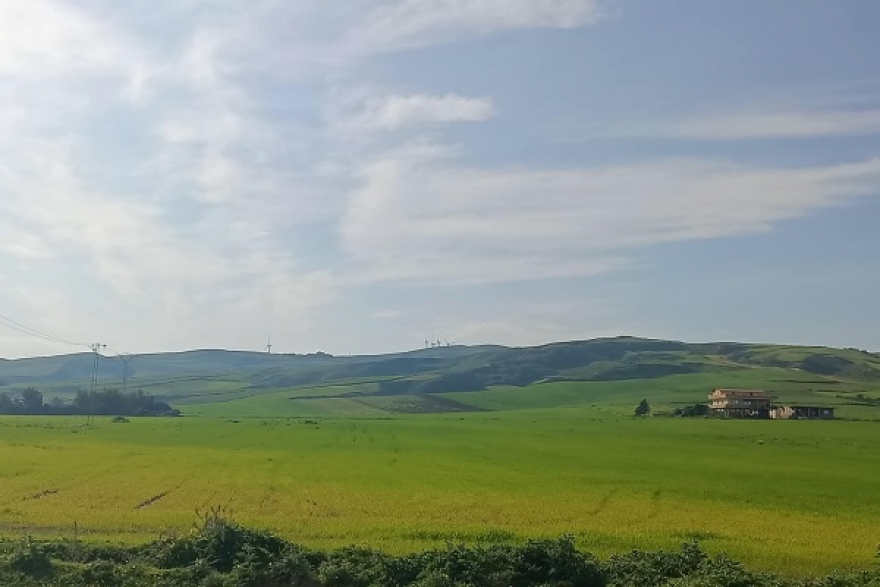 طقس اليوم الثلاثاء 25 فيفري 2025