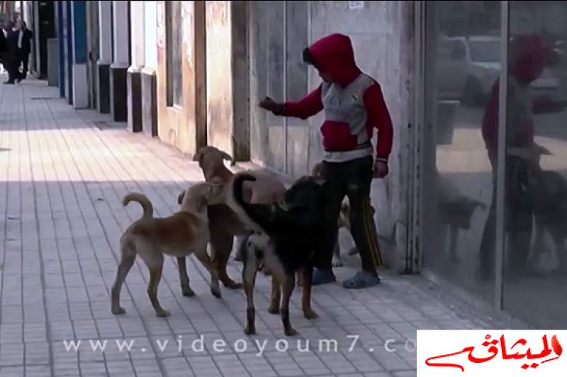 فيديو/طفل مصري: &quot;الحيوانات بتحبنى أكثر من أبويا اللى طردنى عشان يرضى مراته&quot;
