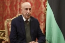 صالح يحذّر من الفوضى في حال تأخير تشكيل الحكومة الجديدة في ليبيا