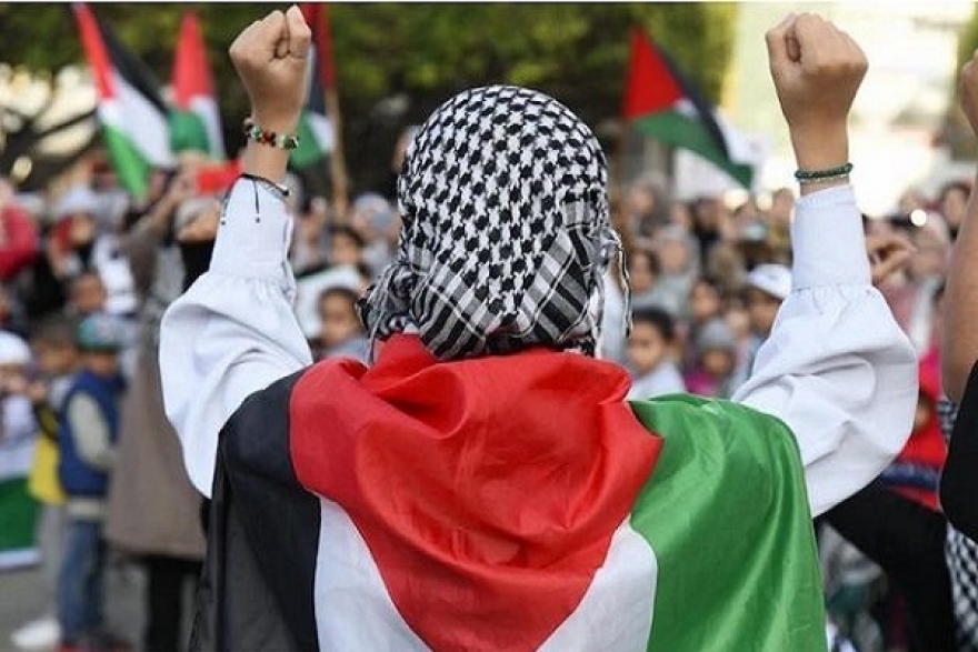 إيقاف أكثر من 200 ناشط أجنبي في القاهرة