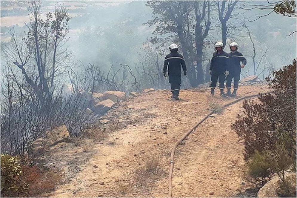 سليانة:اندلاع حريق بجبل المرقب بكسرى