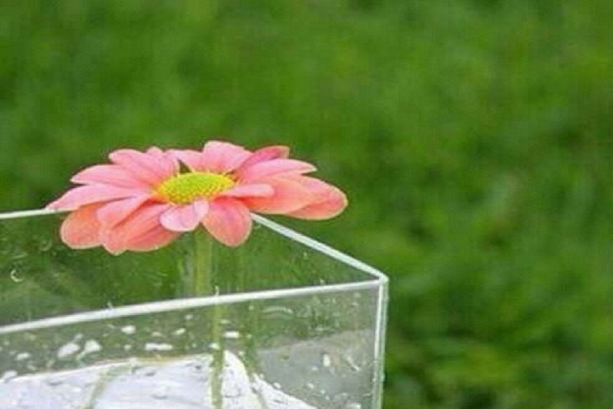 طقس اليوم السبت 1&nbsp; سبتمبر 2018&nbsp;