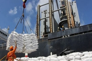 ميناء بنزرت...وصول باخرة محملة بـ 23 ألف طن من السكر الأبيض المورّد من الهند
