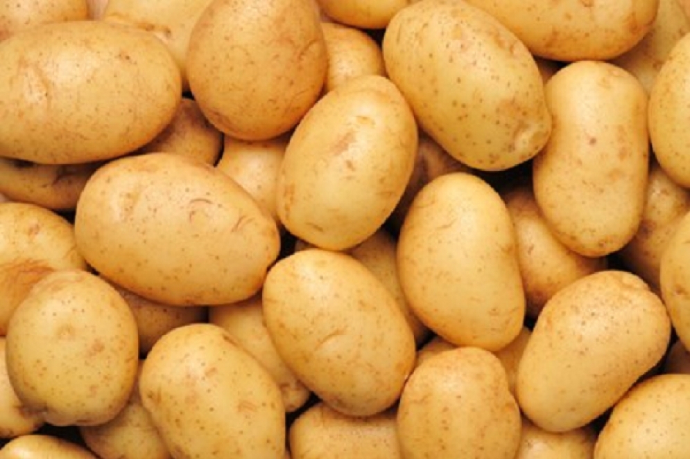 الاتحاد التونسي للفلاحة يحذر من خطورة استهلاك البطاطا المستوردة من مصر