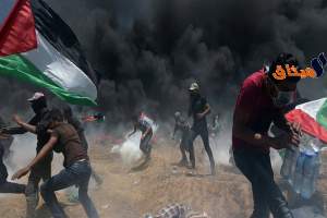 البرلمان يُراسل برلمانات العالم للتنديد بمجزرة غزة