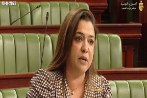 النائب ماجدة الورغي تُطالب وزير الداخلية بمراقبة &quot;لجنة التقارير المالية&quot;