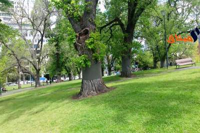 طقس اليوم الخميس 14 ديسمبر 2017