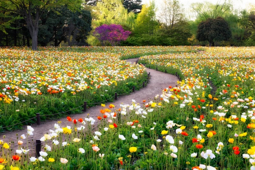 طقس اليوم الجمعة 14 سبتمبر 2018&nbsp;