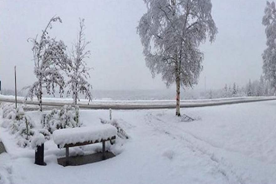 طقس اليوم الخميس 24 جانفي 2019&nbsp;