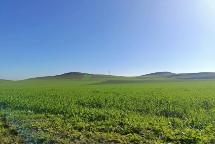 طقس اليوم الخميس 22 ديسمبر 2022