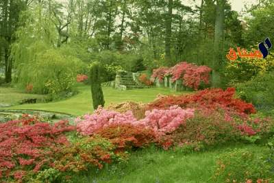 طقس اليوم الجمعة 24 نوفمبر 2017