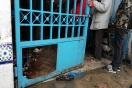 بنزرت:سوق السمك يتعرض للسرقة