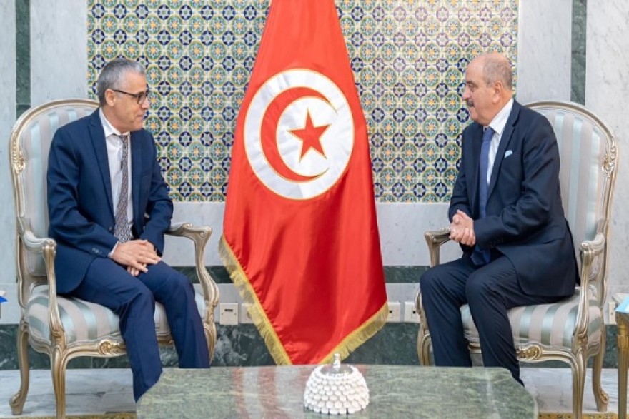 ملف عودة المهاجرين غير النظاميين محور لقاء النفطي برئيس بعثة منظمة الهجرة