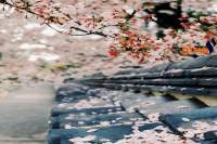 طقس اليوم الثلاثاء 12 جوان 2018