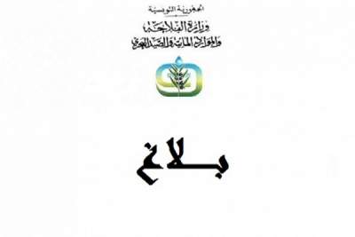 وزارة الفلاحة تعلن عن إجراءات جديدة في قطاع الصيد البحري