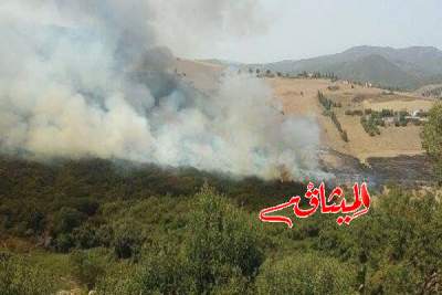 تواصل الحرائق في مناطق العمليات العسكرية بجبال سمامة والسلوم والشعانبي