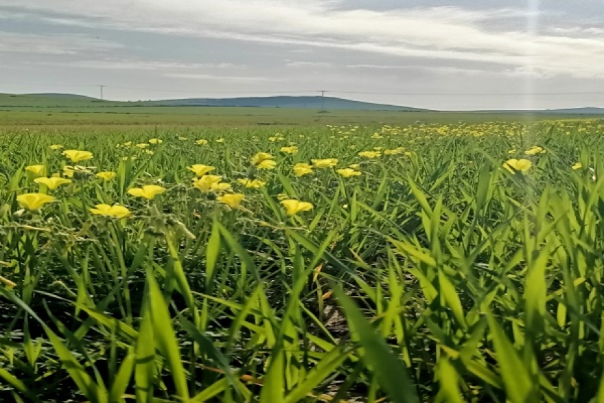 طقس اليوم الثلاثاء 4 مارس 2025