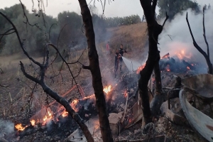 السيطرة على الحرائق المُندلعة بغابات بنزرت وباجة وجندوبة