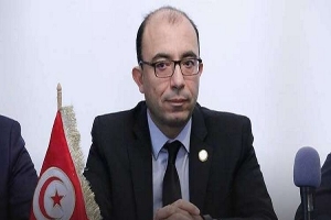 أنيس الجزيري يؤكد تعرض تونسيين في دول افريقية جنوب الصحراء لتهديدات