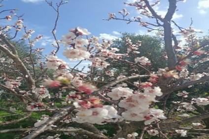 طقس اليوم الخميس 6 مارس 2025