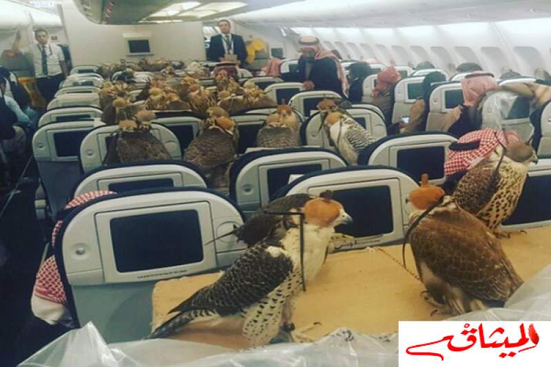 سعودي يحجز 80 مقعدا لصقوره على متن الطائرة