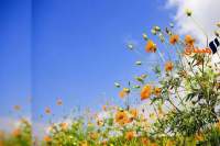 طقس اليوم الأحد 22 أكتوبر 2017