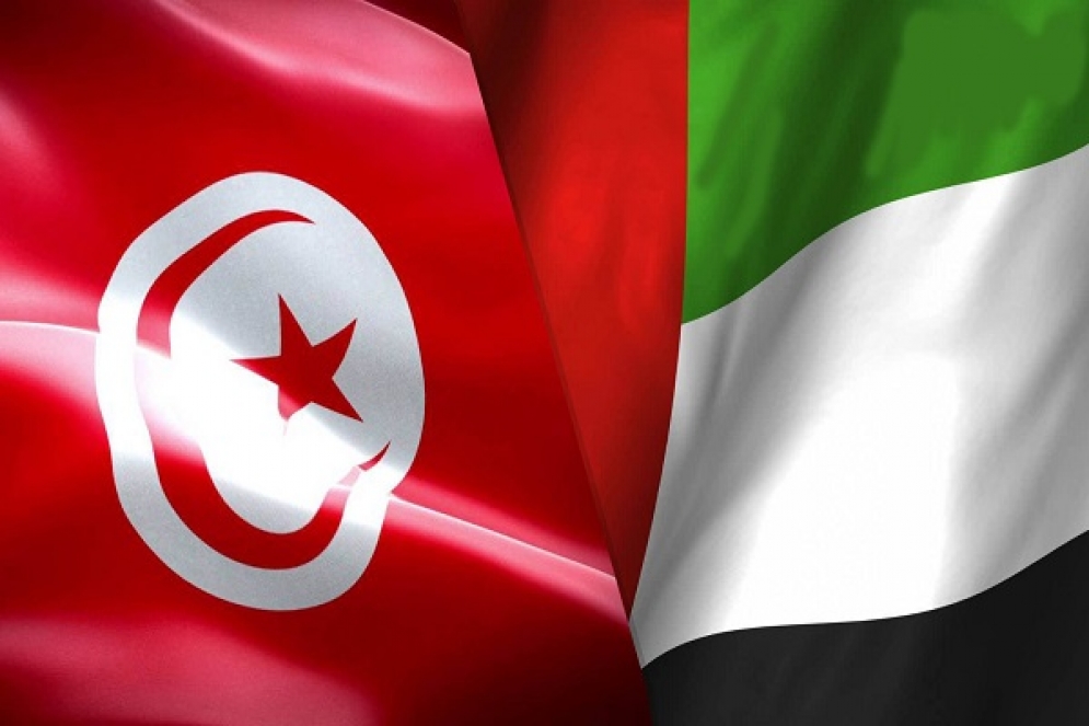 وزير الخارجية الاماراتي يؤكد دعم بلاده لتونس في مجابهة تداعيات جائحة كورونا