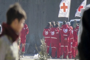 الهلال الأحمر المصري: وصول أول طائرة تركية تحمل مساعدات إغاثية لقطاع غزة