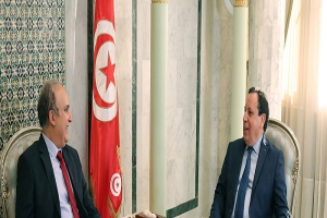 الإنتخابات الرئاسية و التشريعية:ترتيبات وآجال تسجيل التونسيين بالخارج 