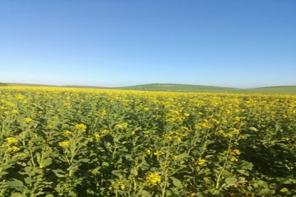 طقس اليوم الاثنين 24 مارس 2025