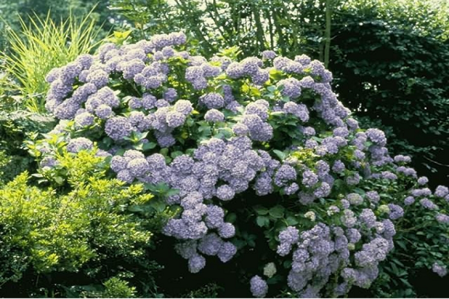 طقس اليوم الاثنين 10 سبتمبر 2018&nbsp;