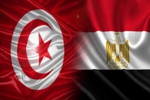 مصر تُدين تفجير البحيرة الارهابي