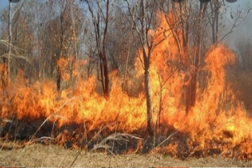 بسبب الرياح: &nbsp;توسّع رقعة حريق جبل البياض في برقو