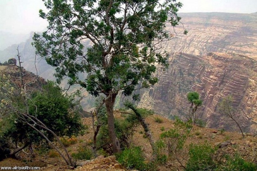 طقس اليوم الإثنين 7 جانفي 2019