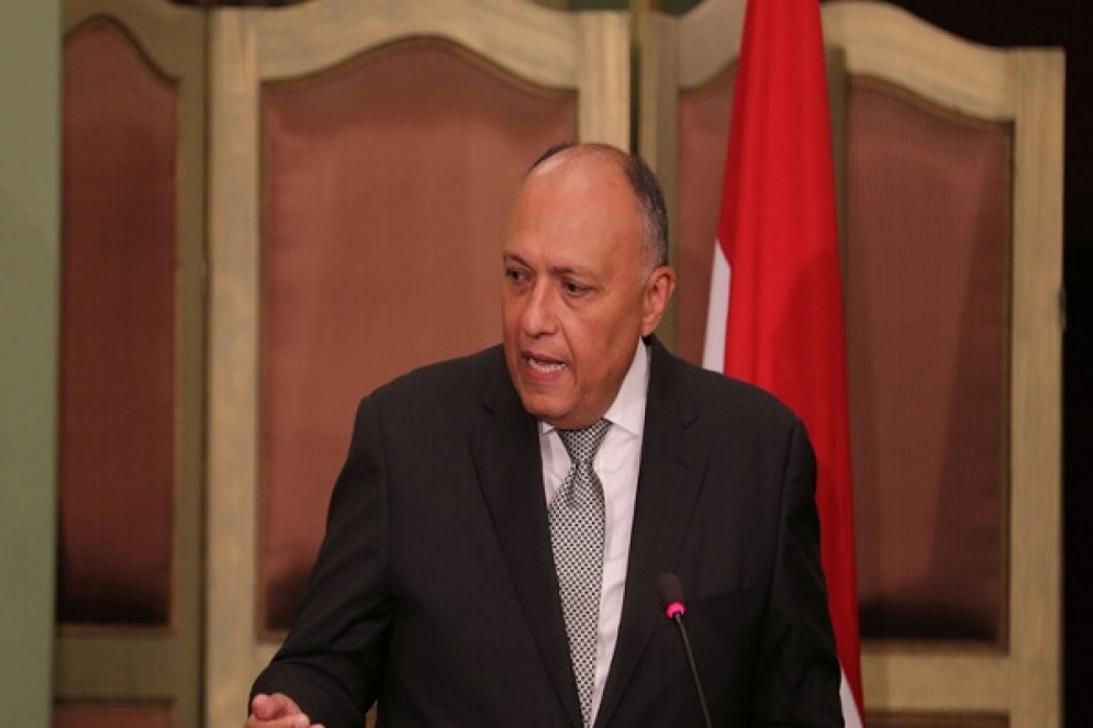 وزير الخارجية المصري بخصوص التواجد التركي بسوريا: لا ينبغي التسامح مع ظاهرة نقل الارهابيين الاجانب