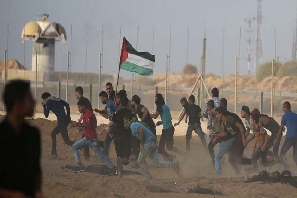 إصابة 14 فلسطينيا برصاص الجيش الصهيوني عند حدود غزة