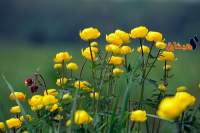 طقس اليوم الاثنين 16 أفريل 2018