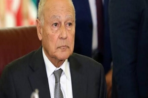 أبو الغيط في الجزائر لبحث أهم بنود جدول أعمال القمة العربية المقبلة مع تبون