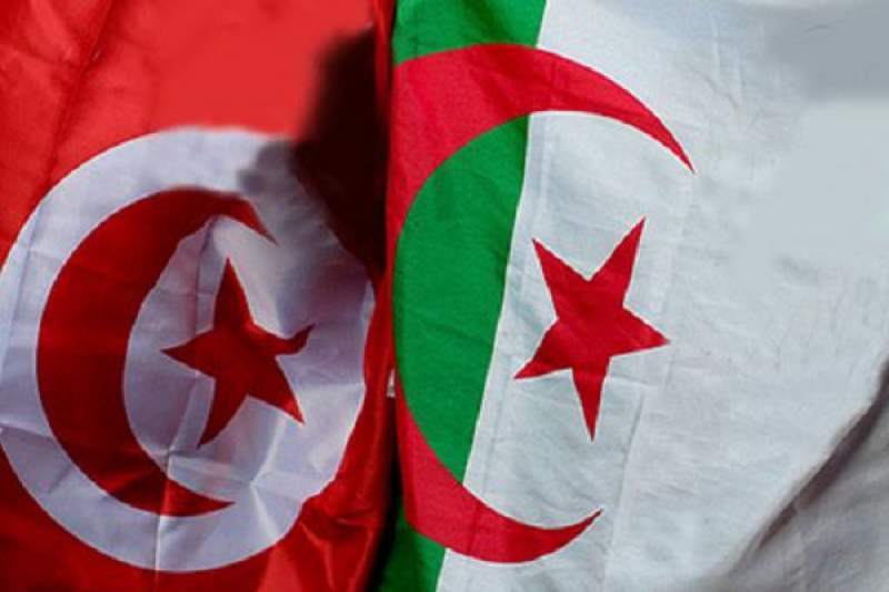 الجزائر: القضاء على 3 إرهابيين على الحدود التونسية