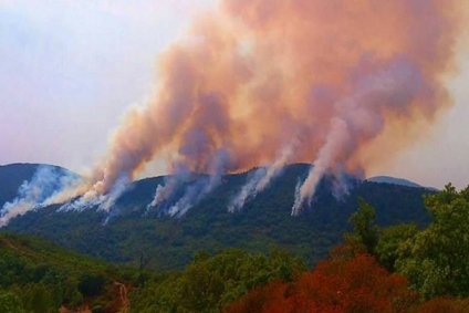 سليانة:الحماية المدنية تُسيطر على حريق اندلع بغابة 