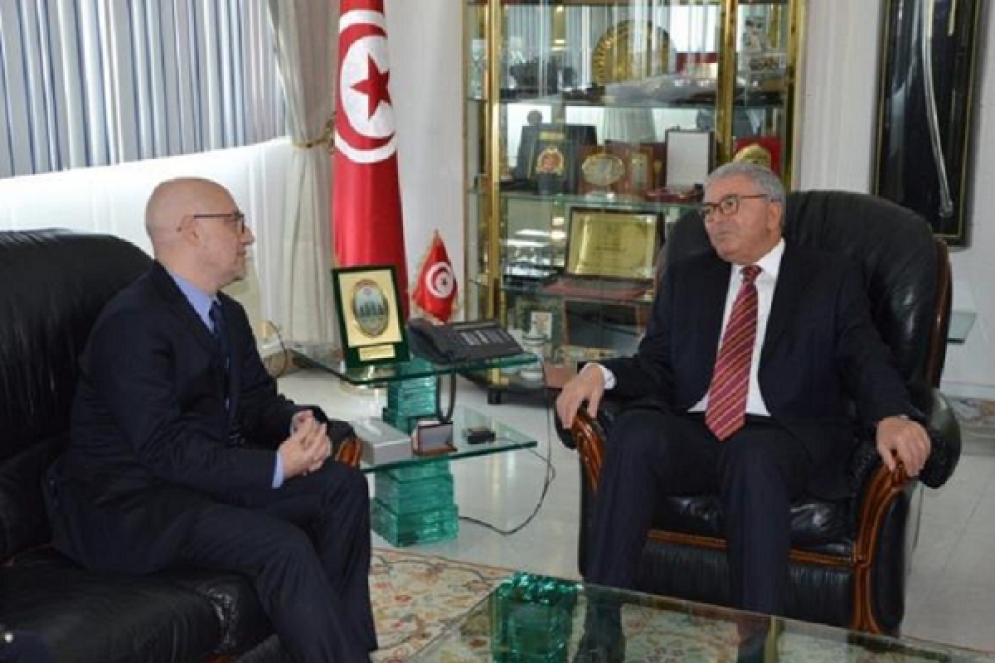 وزير الدفاع يتحادث مع سفير إيطاليا بتونس