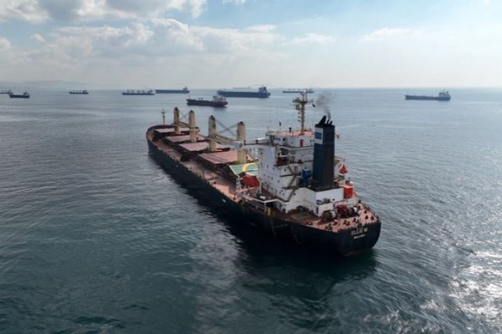استئناف العمل باتفاقية نقل الحبوب عبر الممر الآمن في البحر الأسود