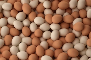 صفاقس ونابل: حجز أكثر من نصف مليون بيضة معدّة للبيع خارج الأطر القانونية