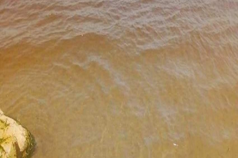  بلدية قرطاج تدعو المواطنين إلى تجنب السباحة بسبب تغير لون البحر