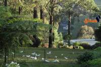 &nbsp;  طقس اليوم الجمعة 29 ديسمبر 2017