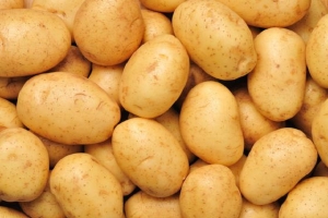 أريانة: حجز 10 أطنان من البطاطا المهربة