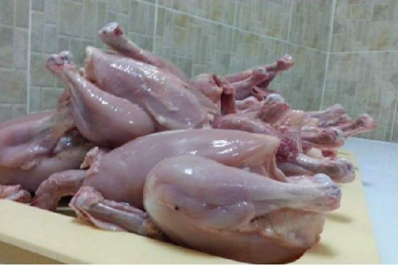 حجز ما يزيد عن 1700 دجاجة فى مذبح دواجن عشوائى ببنزرت